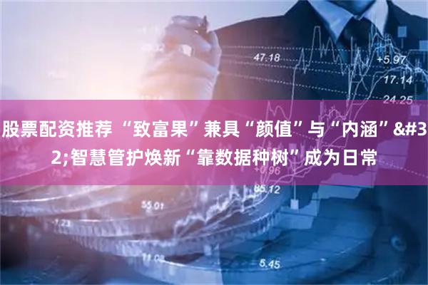 股票配资推荐 “致富果”兼具“颜值”与“内涵” 智慧管护焕新“靠数据种树”成为日常